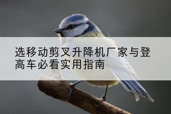 宜城电动升降机厂家-选移动剪叉升降机厂家与登高车必看实用指南