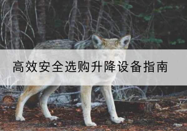 宜城升降货梯厂家推荐-*安全选购升降设备指南