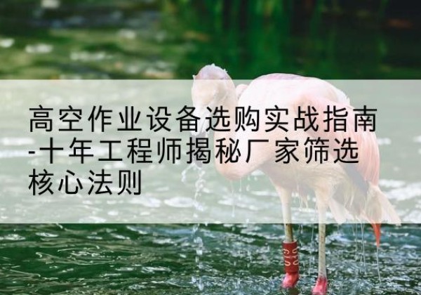宜城剪叉式升降机厂家-高空作业设备选购实战指南-十年工程师揭秘厂家筛选核心法则